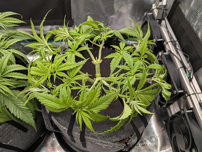 Growreport Bild 20