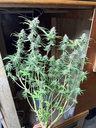 Growreport Bild 6