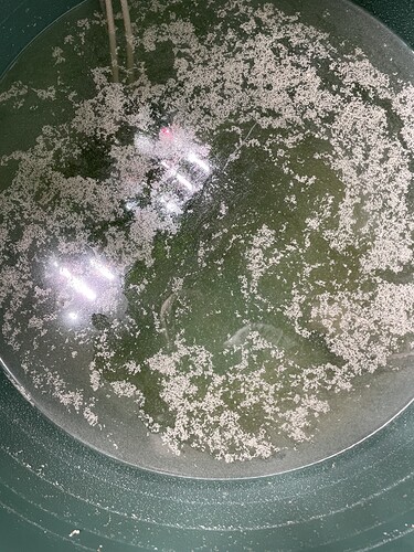 Growreport Bild 22