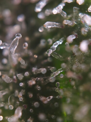 MVIMG_20251121_193428