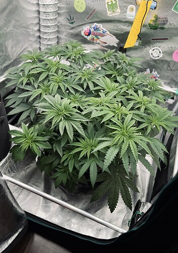 Growreport Bild 9