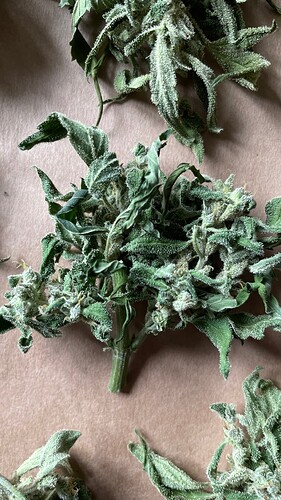 8781062e-5765-452d-9a09-612630b67845