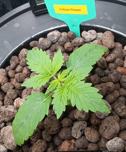 Growreport Bild 2