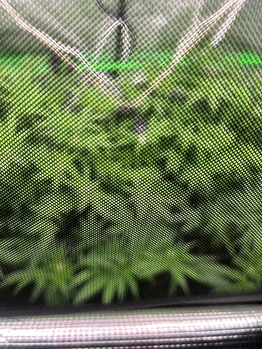 Growreport Bild 43