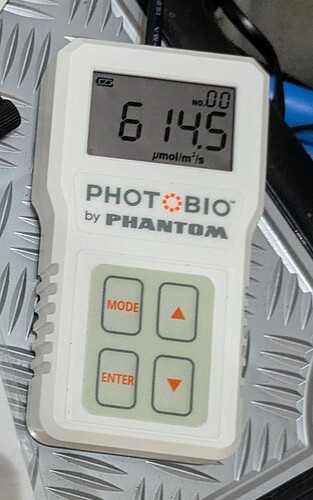 PXL_20250203_161503560~2