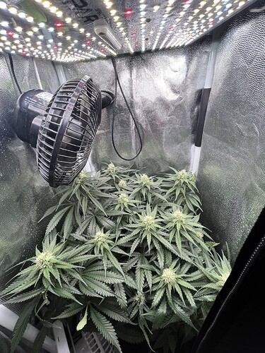 Growreport Bild 1