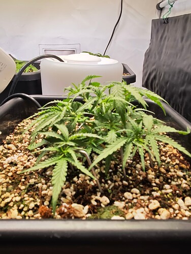 MVIMG_20251007_205100