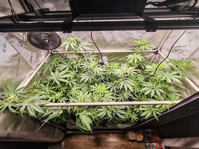 Growreport Bild 5