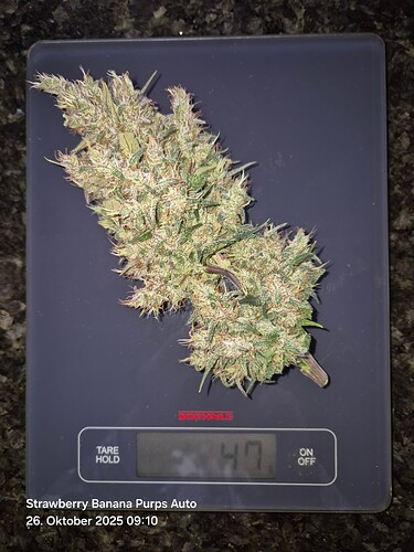 Growreport Bild 22