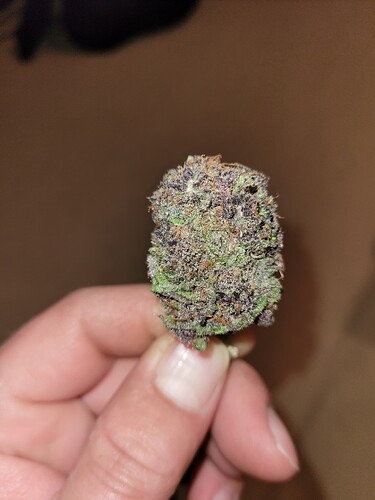 Growreport Bild 9