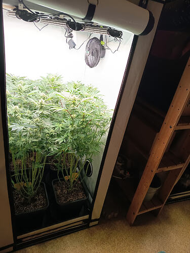 Growreport Bild 25