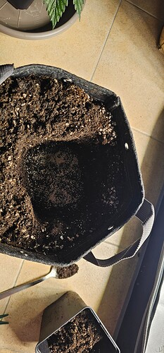 Growreport Bild 32