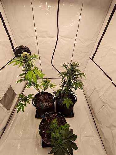 Growreport Bild 5