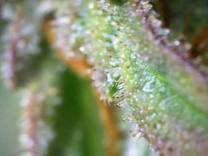 Photo_2026-03-04 16_36_21_603