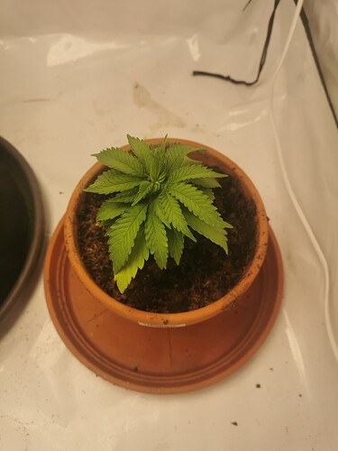 Growreport Bild 18
