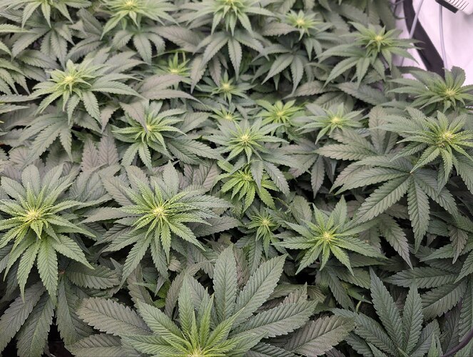 photo_2025-11-17_17-50-47