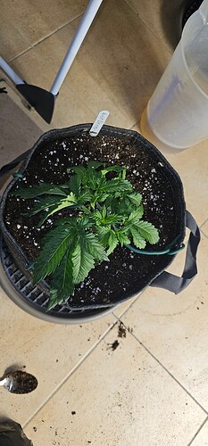 Growreport Bild 33