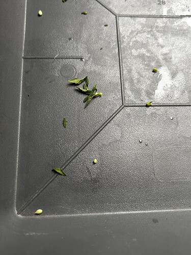 Growreport Bild 4