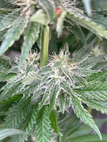 Growreport Bild 10