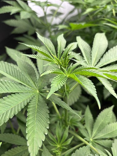 Growreport Bild 22
