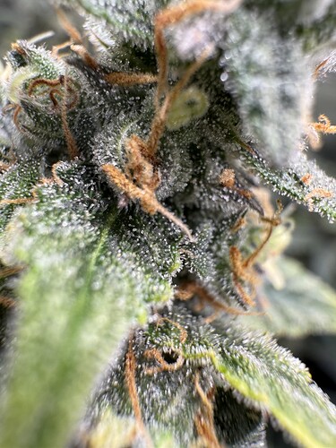 Growreport Bild 16