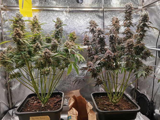 Growreport Bild 18