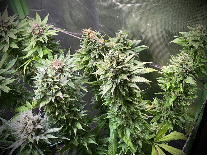 Growreport Bild 10