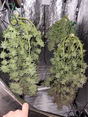 Growreport Bild 13