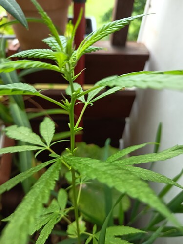 Growreport Bild 11