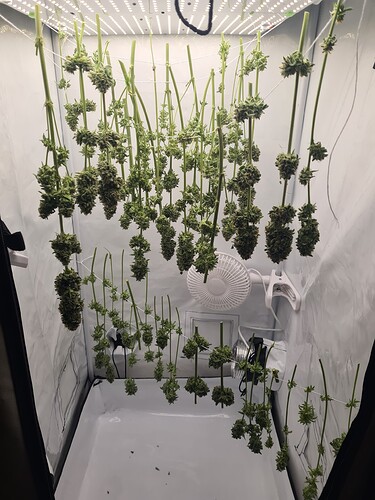 Growreport Bild 11
