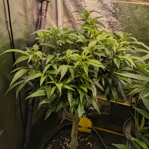 Growreport Bild 11