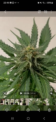 Screenshot_20240604_224930_Gallery