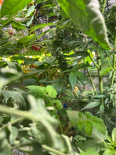 Growreport Bild 17