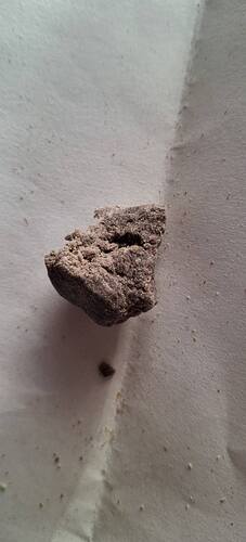 Growreport Bild 23