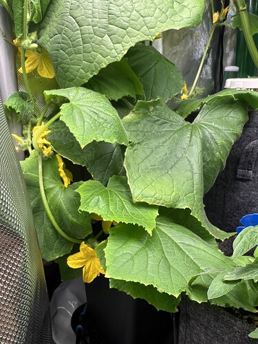 Growreport Bild 4