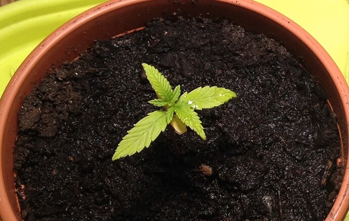Growreport Bild 18