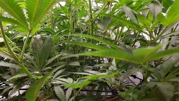 Growreport Bild 8