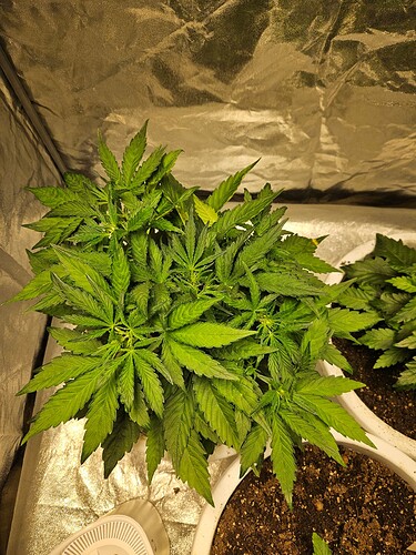 Growreport Bild 14