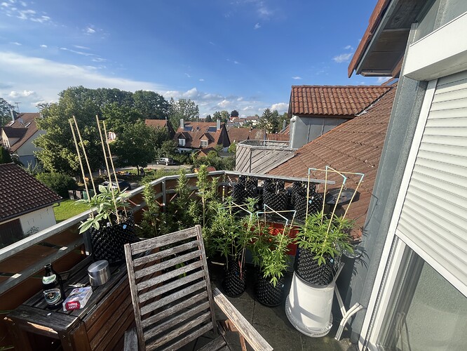 Growreport Bild 2