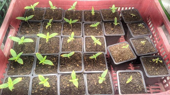 signal-2024-08-27-123324_002