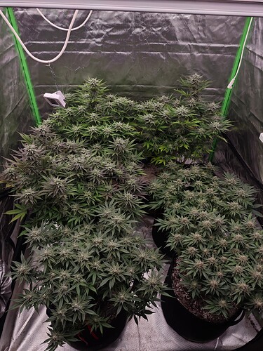 Growreport Bild 2