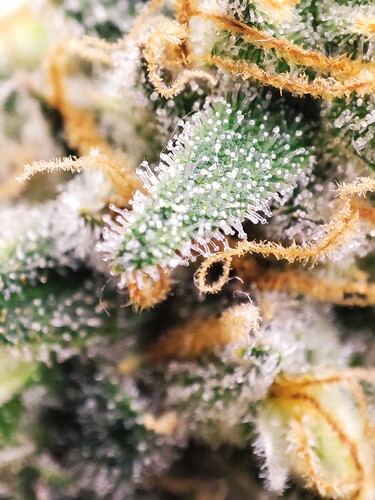 Growreport Bild 16