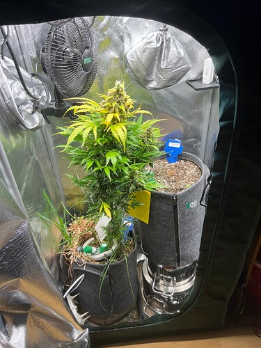 Growreport Bild 6