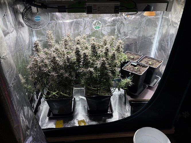 Growreport Bild 8
