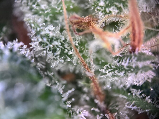 Growreport Bild 22