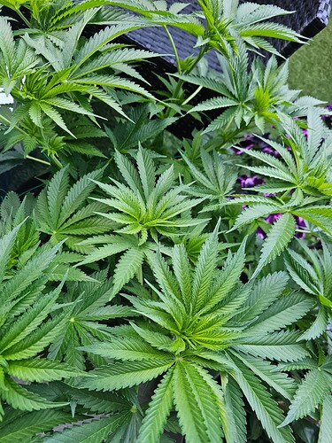 Growreport Bild 24