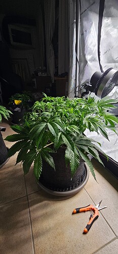 Growreport Bild 7