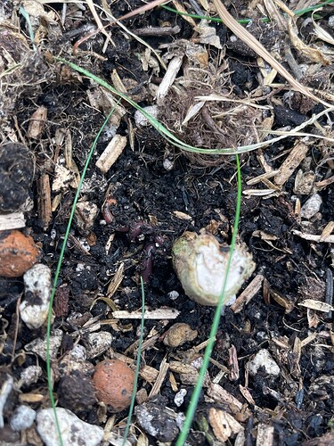 Growreport Bild 20