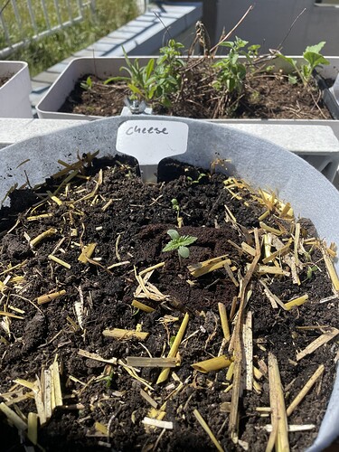 Growreport Bild 15