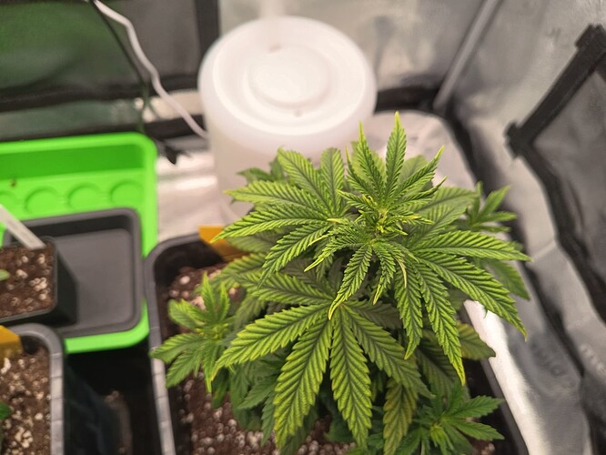 IMG_20240429_100610_228